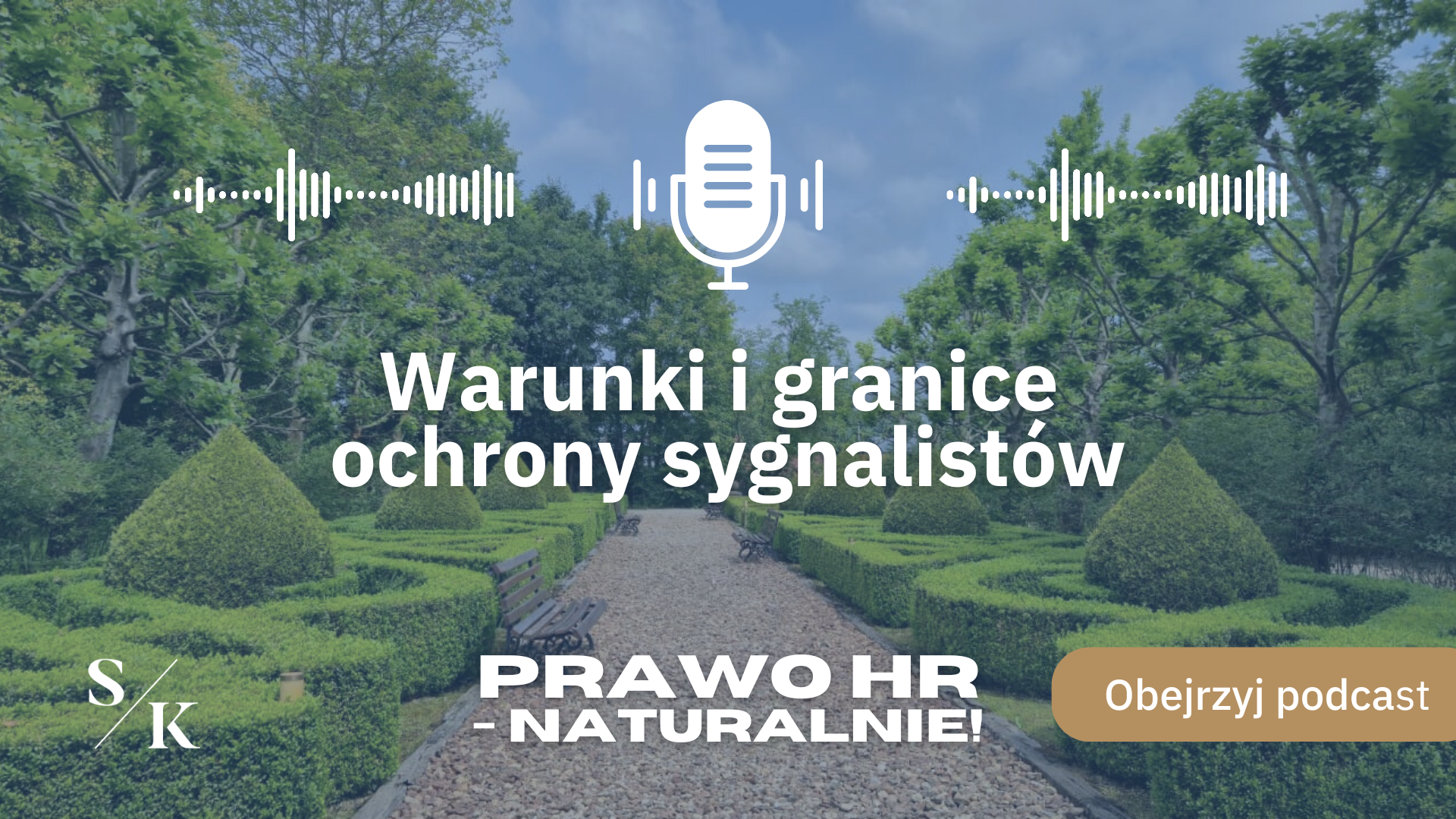 POPUP warunki i granice ochrony sygnalistów